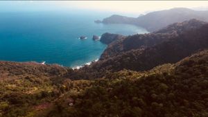  북쪽에서 카리브해와 만나는 노던 레인지.