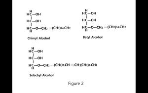 자연적으로 발생하는 3가지 알킬글리세롤