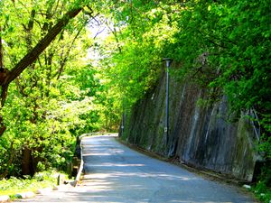 홈 스미스 공원은 킹스웨이에 위치한 시립 공원이다.