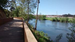 2014년 트로파의 아베 강