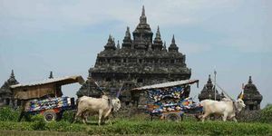 프람바난 사원 축제에서 바징안과 함께 있는 황소 수레