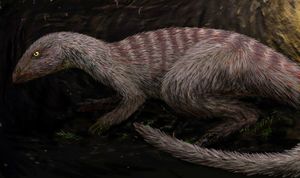 굴 속의 개체 복원도