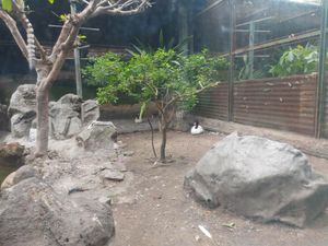 사이공 동물원의 서식지