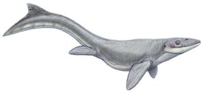 P. lutugini의 복원도