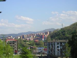 볼루에타에서 본 바사우리