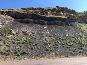 몬태나 주 벨트의 모리슨 층의 석탄층