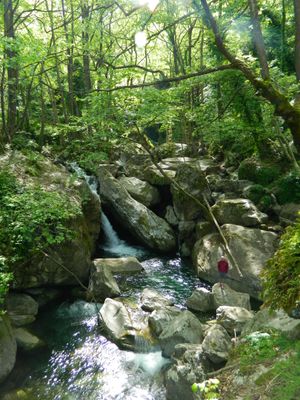 숲과 물, 거석의 펠리온산.