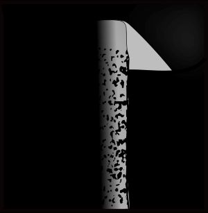 미세한 솜털 모양