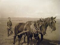 1942년 숨팡고의 스페인 공화당원