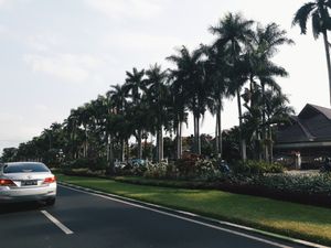 유명한 이젠 거리