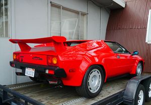 잘파의 후면 3/4 뷰