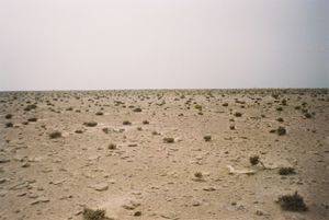 사하라 사막의 풍경