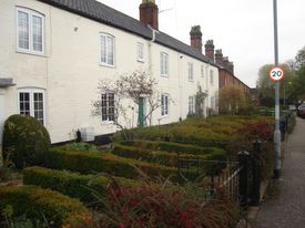 영국 노퍽의 테라스식 코티지(cottage, 작은 시골집)의 빽빽하게 심어진 앞 정원들.