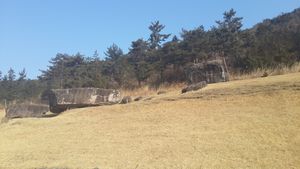 화순 고인돌 유적의 고인돌