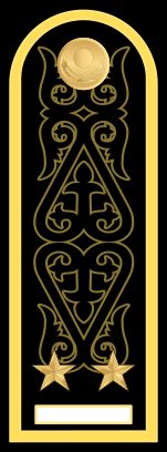 러시아 해군 대위 견장