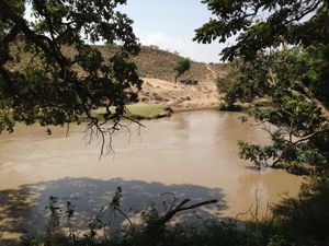 에티오피아 소데레의 아와시강 (2014)