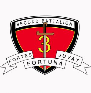 미군 제3해병사단 2대대