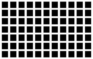 측면 억제에 의해 발생되는 착시 현상: 헤르만 격자 착시