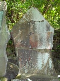 현재의 순국칠사지비. 석비에 금이 가 있고, 콘크리트로 채워 보강된 것은 이 사건으로 폭파되었기 때문이다.