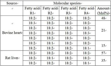 동물 조직 내 카르디올리핀