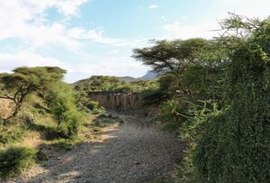 보라마 외곽의 코르갑 계곡