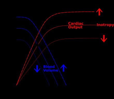 가이튼 그림의 가로축은 우심방압 또는 중심정맥압, 세로축은 심박출량 및 정맥환류량을 나타낸다. 우상향하는 붉은 곡선은 심박출량곡선, 우하향하는 푸른 곡선은 정맥환류곡선이다. 두 곡선이 만나는 지점에서 정상 상태가 형성된다.