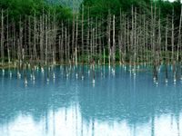 비에이정 푸른 연못