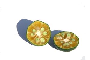 시콰사를 반으로 자른 모습.