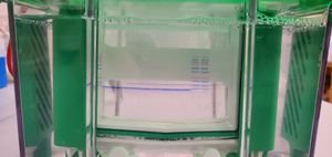 80볼트에서 1시간 동안 전기 영동 후 전기 영동 챔버. 첫 번째와 마지막 두 개의 웰에 상용 단백질 래더가 로딩되었다. 다른 로딩된 웰에는 SDS로 코팅된 단백질 샘플이 들어 있다.