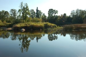 에스토니아 패르누마주, 토리 교구의 성스러운 숲 섬