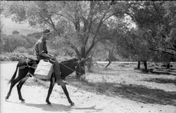 백십자가 칠해진 음료수용 캔을 운반하는 독일 병사