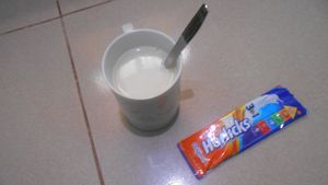 인도네시아의 홀릭스