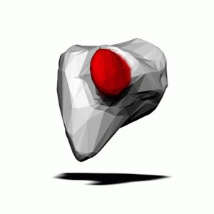 왼손의 갈고리뼈. 갈고리뼈는 빨간색으로 표시됨.