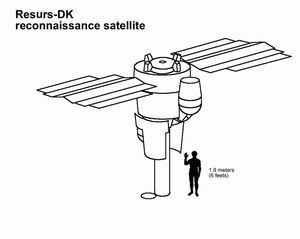 레수르스와 인간의 크기 비교.