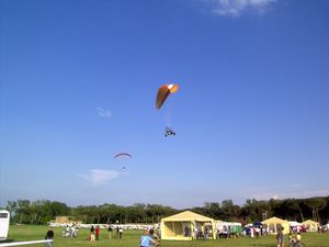 200대 이상의 항공기가 에어쇼에 참가하며, 활주로가 잔디로 덮여 있어 모두 경량 항공기이다.