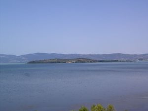 C. 라고가 바라본 폴베세 섬