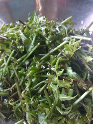 채소로 사용되는 피들헤드