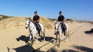 포르투갈 해변을 말로 순찰하는 동안 전형적인 뾰족한 비바케를 착용한 GNR 대원들.