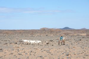 찰비 사막 DSC08718