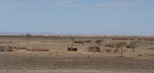 찰비 사막 DSC08745