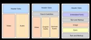 일반적인 컨테이너 포맷의 레이아웃: AVI, 매트료시카, PDF