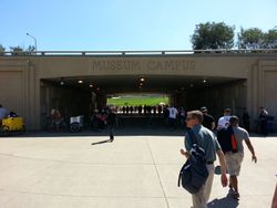 레이크 쇼어 드라이브 아래로 뻗어 있는 뮤지엄 캠퍼스의 보행자 터널