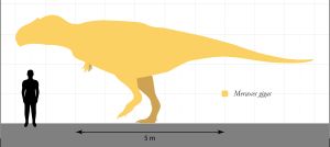 사람과 비교한 크기
