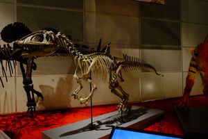 재구성된 골격 모형