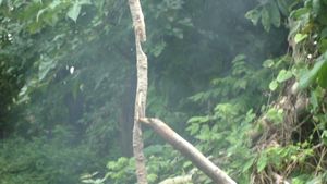 고리를 여러 개 만들어 높이를 조절하여 불 조절을 할 수 있다.