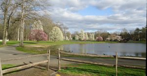 크랜포드 유니언 카운티 칼리지(Union County College) 근처 노마히건 연못