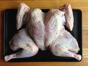 스패치콕 처리된 칠면조