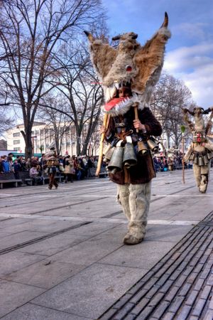 페르니크의 쿠케르