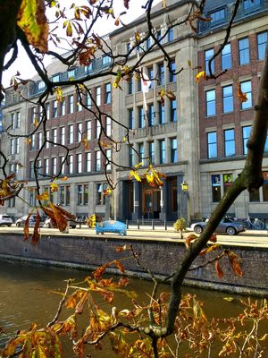 헤이그에 위치한 국제 사회 연구소