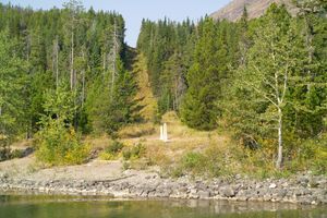 알버타-몬태나 국경을 표시하기 위해 숲에 잘려진  너비의 경계 표지.